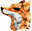 Kris Chislett Design logo